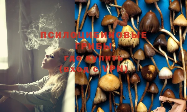 тгк Михайлов